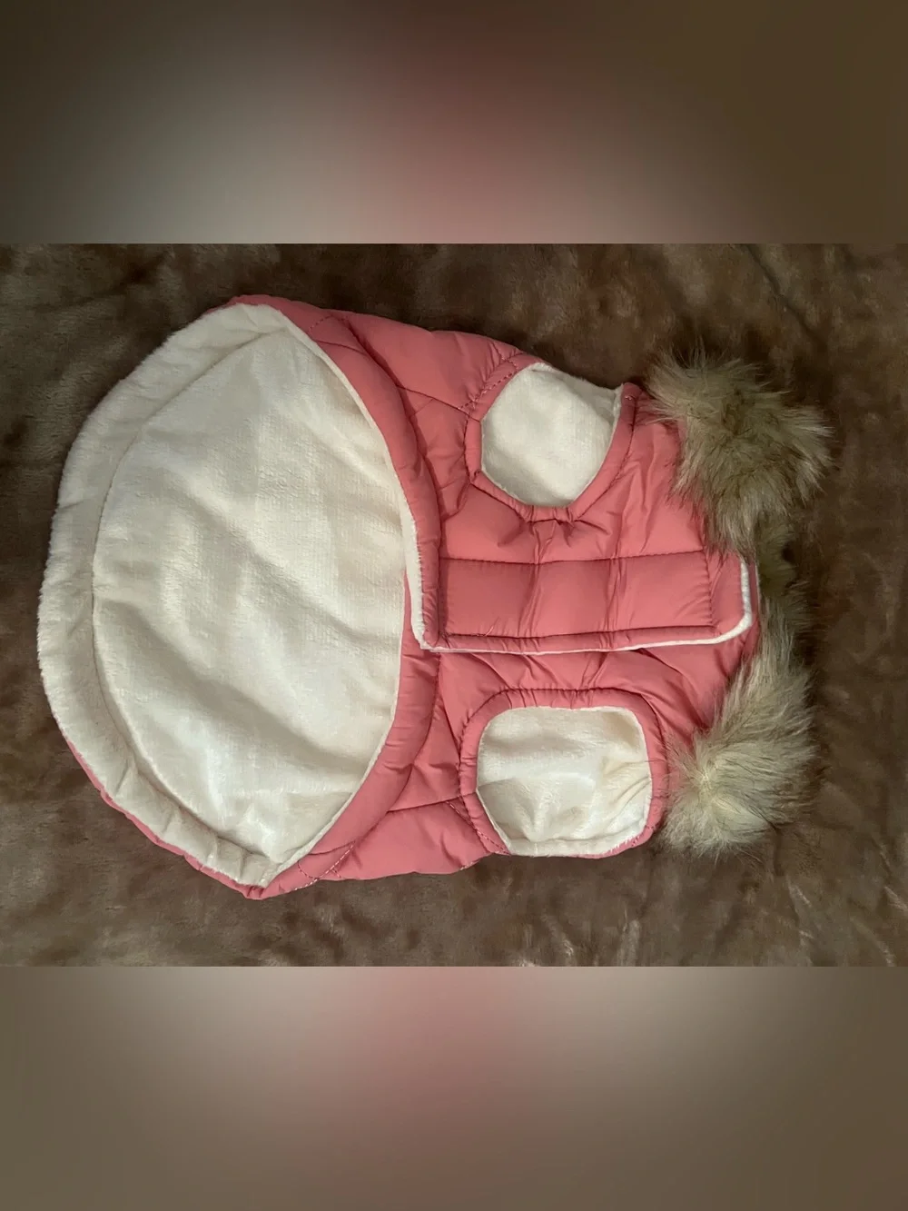 Frisco nwt xs